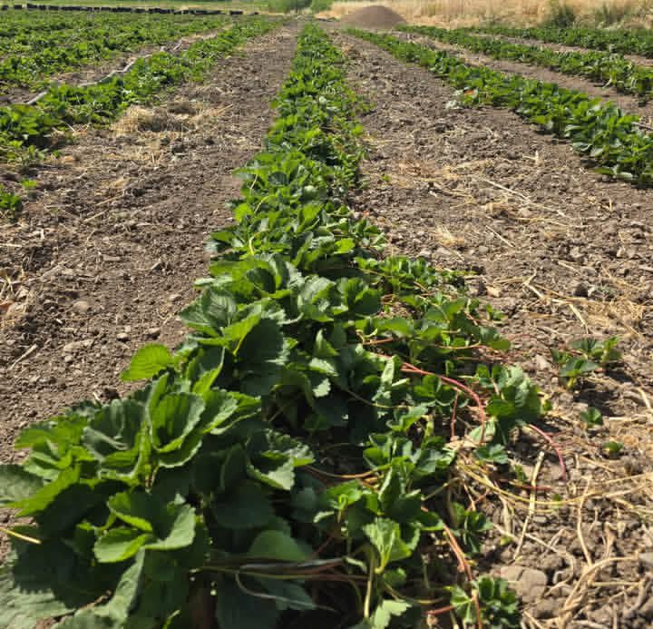 خدمات پس از فروش