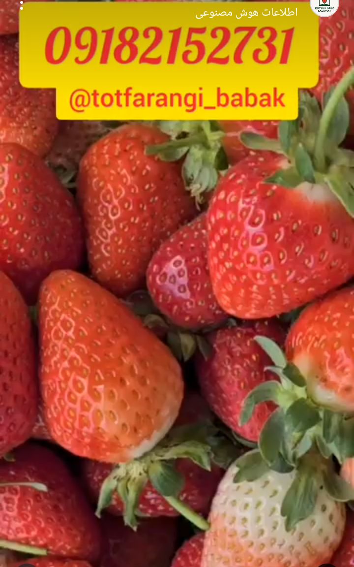 رضایت مشتریان