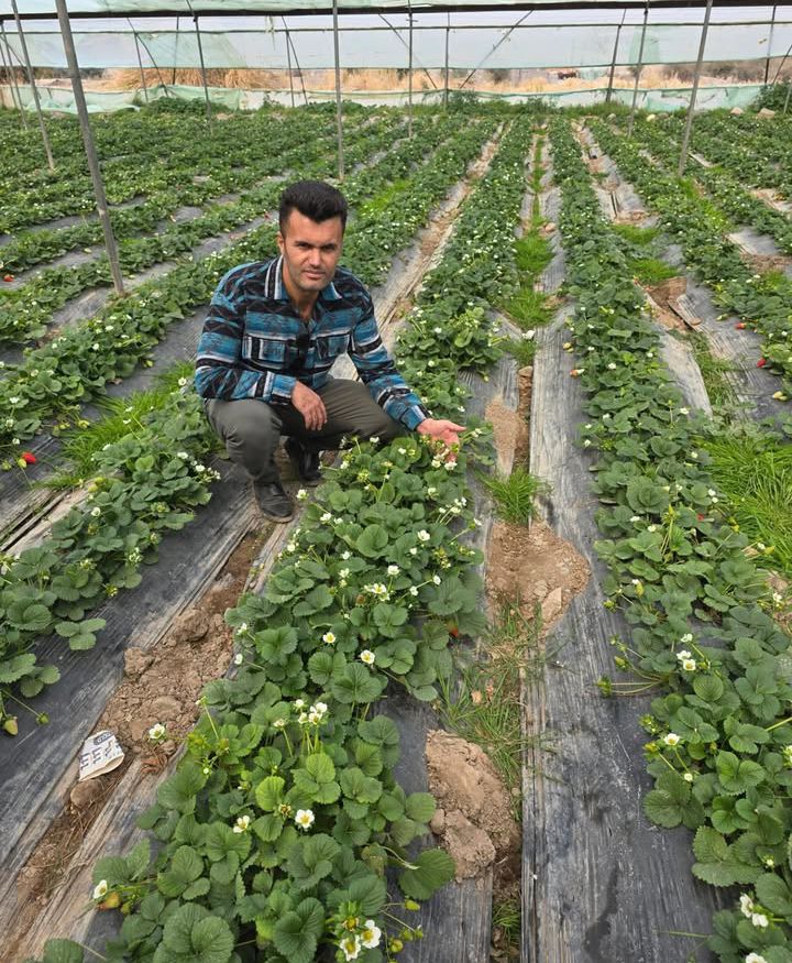 تجهیزات جانبی گلخانه‌ای